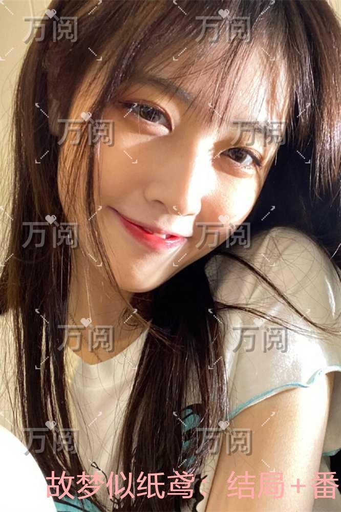 故梦似纸鸢:免费看