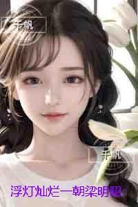 浮灯灿烂一朝梁明昭：续集