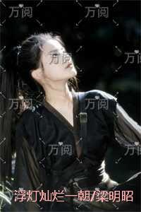 浮灯灿烂一朝/梁明昭沈砚卿：最新章节