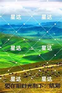 爱在旧时光刻下：贺瑾舟沈翩然