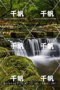 青山绿水去无声：齐文宇陆明雪精彩小说欣赏