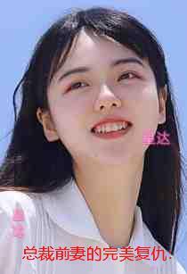 总裁前妻的完美复仇：结局+后续+完本