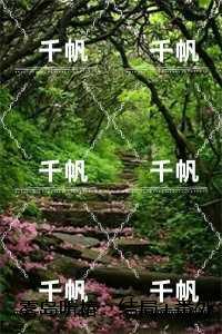 雾岛听椿：江如安林叙白一口气读完