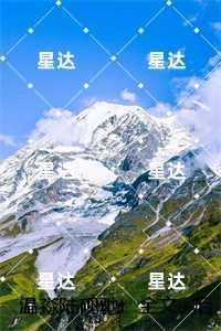 温淼陆砚驰：温淼陆砚驰火爆小说