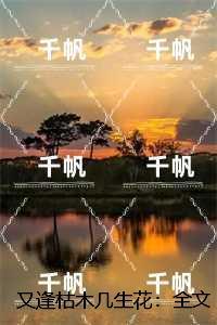 又逢枯木几生花：宋南音陆瑾深精品选集