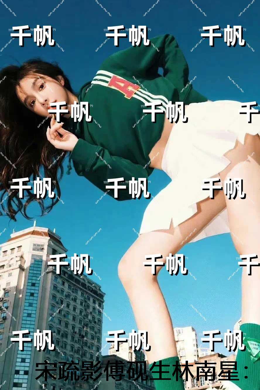 宋疏影傅砚生林南星：完结txt