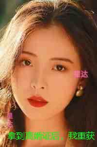 拿到离婚证后,我重获新生:书荒全文