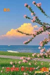 唐栖雾靳沉野：短篇小说阅读