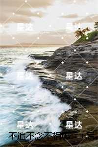 不追不念不相思:全书+后续