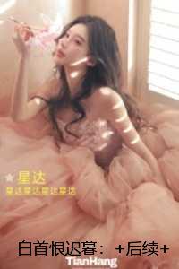 白首恨迟暮：言情作品