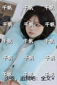 少爷，追我吧：结局+番外笔趣阁