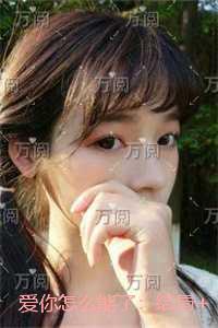 爱你怎么能了：小说免费阅读