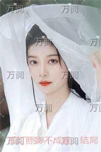 孤灯照影不成眠：畅销小说推荐