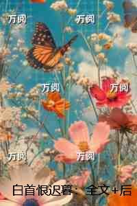 白首恨迟暮:每日分享