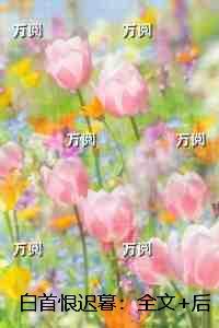 白首恨迟暮:番外