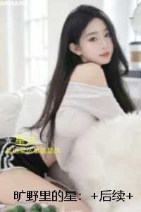 旷野里的星：小说