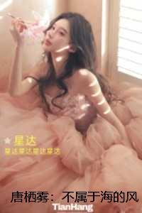 唐栖雾：不属于海的风：热门小说