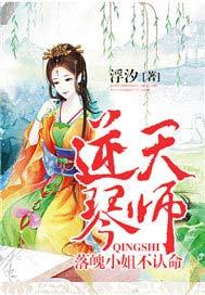 逆天琴师:落魄小姐不认命